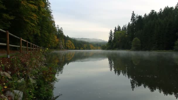 Misty fog on Vltava river near foothpath with autumn foliage at — Stock Video