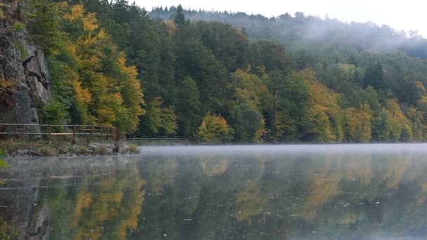 Туман на річці Влтаві біля підніжжя стежки з осіннім листям на — стокове відео