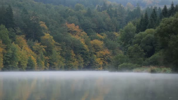 Mlhavá mlha na Vltavě u úpatí stezky s podzimním listím — Stock video