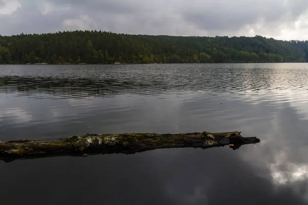 Donkere bomen in Tsjechisch landschap op stuwdam Rimov met boom op wat — Stockfoto