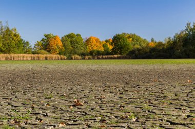 Kuru gölet, sonbahar yaprakları ve mavi gökyüzü ile çatlamış.. 