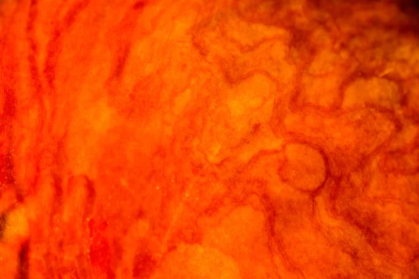 Textura macro de castaño en color rojo y marrón — Foto de Stock