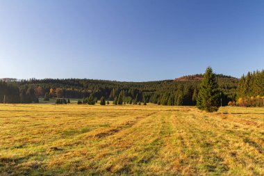 Novohradske dağında ağaçlı güzel bir sonbahar çayırı, Çek temsilci.