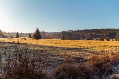 Novohradske mou 'da güzel bir sonbahar çayırı.
