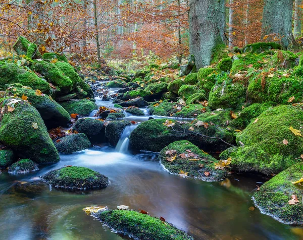 Nice small forest brook, stream with autumn leaves, long exposur — Stock Photo, Image