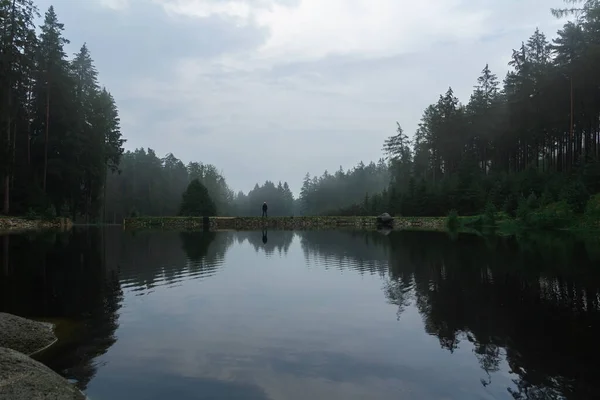 Jongeman Die Bij Regenachtig Weer Aan Vijver Staat Natuurreservaat Tsjechische — Stockfoto