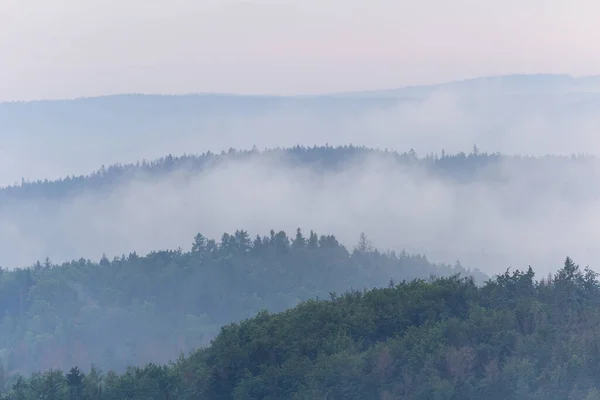 Панорамний Вид Ліс Силует Туманним Туманом Чеський Краєвид — стокове фото