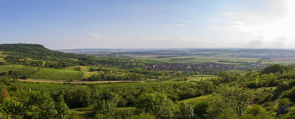 Panoramic View Vineyard Landscape Hills Small Village Perna Palava Czech — Stock Photo, Image
