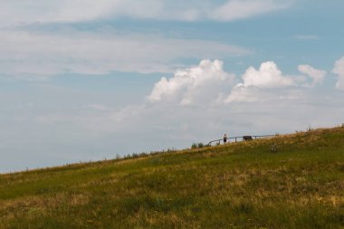 Vadiyi gözetleyen genç bir kadın. Palava, Çek Cumhuriyeti, tonlu fotoğraf
