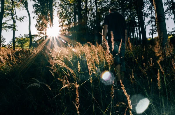 Молодий Чоловік Ходить Лісі Сонячними Променями Проблискує Крізь Дерева Ore — стокове фото