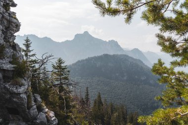 Avusturya Alp Dağları yaz manzarası. Tonlanmış fotoğraf