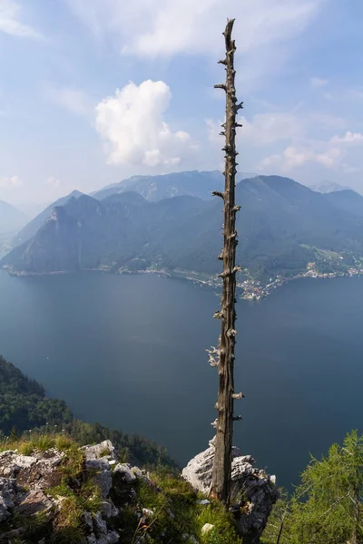 Lago Traunsee Montaña Los Alpes Con Árbol Muerto Ciudad Traunkirchen — Foto de Stock