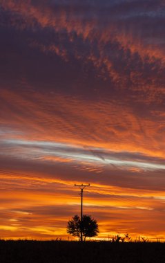 Gün batımında tarım alanında yüksek voltajlı elektrik hattı. Elektrik enerjisi aktarımı, endüstri geçmişi