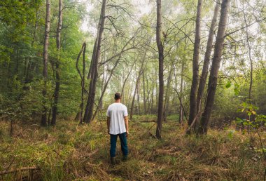 Sisli sis ormanında duran bir adam. Çek Ormanı Yazı, Bahar Doğası