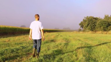 Wellingtons 'da çiftçi ayakkabısı güneş doğarken sisli bir sis ile mısır tarlasında yürüyor. Çek tarım arazisi geçmişi