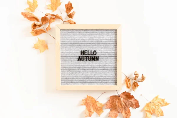 Quote Hello autumn. Composition with letterboard, and dried maple leaves on white background