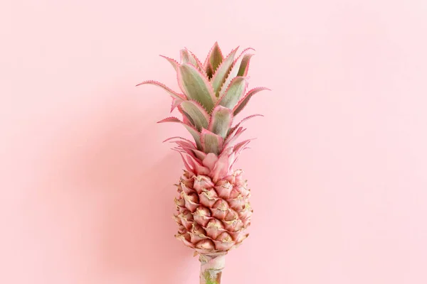 Little decorative pineapple on pink background