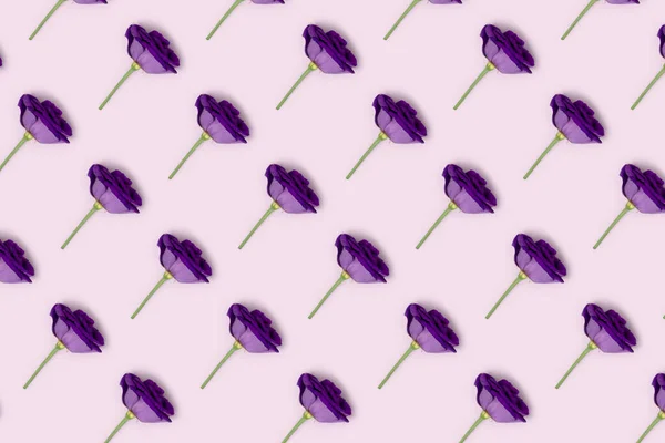 Eustoma flowers pattern on a purple background. Monochrome concept in pastel colors.