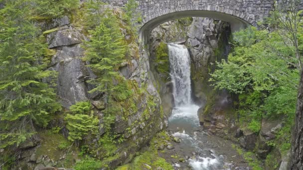 Ultra Video Van Mooie Christine Falls Mount Rainier National Park — Stockvideo