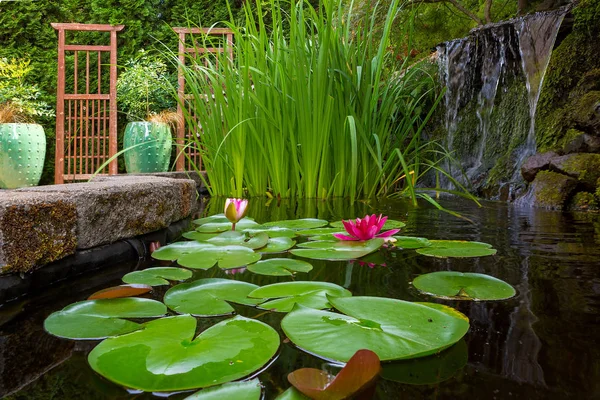 Tuin Vijver Achtertuin Met Waterval Waterlelies Iris Trelly Container Potten — Stockfoto