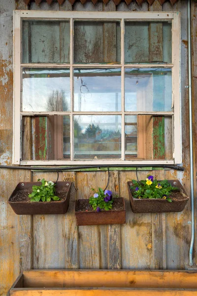 Janela Casa Velha Com Plantadores Flores Fazenda Rural — Fotografia de Stock