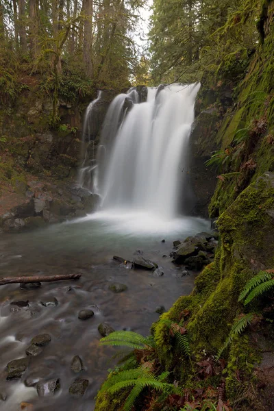 Majestic Falls Mcdowell Creek Falls County Park Oregon Winter — Stockfoto