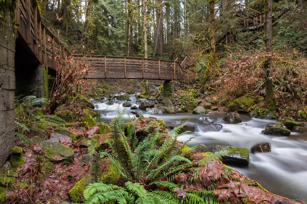 Híd Lépcsők Túrázás Mcdowell Patak Vízesés County Park Oregon Trail — Stock Fotó