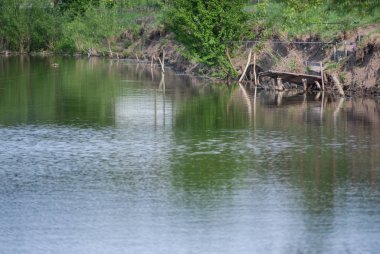 su göl kenarında balık float