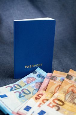 Gri arka plan üzerinde Euro para birimi ile boş bir biyometrik pasaport atış kadar yakın