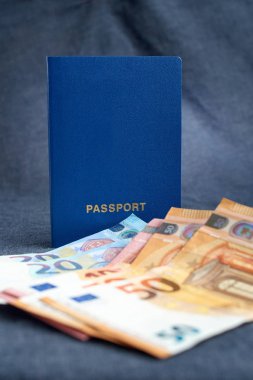 Euro ile biyometrik pasaport boş elli, yirmi, on ve beş notları, gri arka plan üzerinde