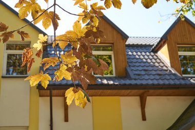 Hundertwasser Evi, ağaçlar büyüyen ile renkli cephe