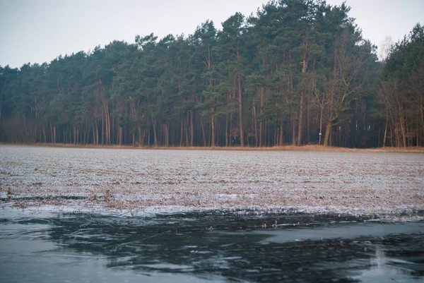 Incredibile Alba Febbraio Foresta Lago — Foto Stock