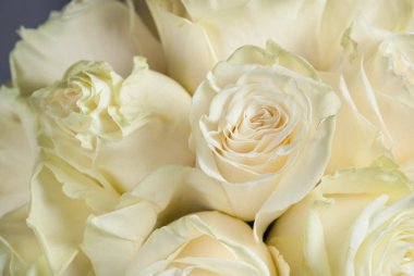 Buequet beyaz gül yakın çekim Gelin için