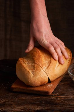 Fırın ekmek üreticileri - altın rustik huysuz somun ekmek ve siyah kara tahta zemin üzerine buns