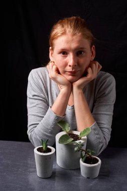 DIY beton tencere içinde ev küçük succulents, yakın çekim