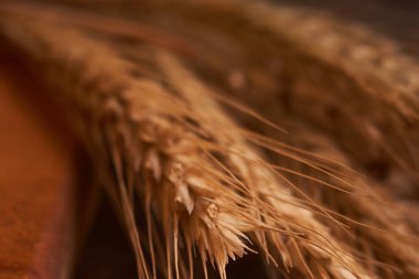 Organik tam buğday ekmeği siyah arka plan üzerine kopya alanı ile yatan. Seçici odak