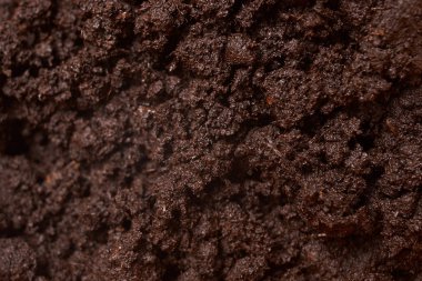 Toprak bitki için kapatın. seçici odak. Kavram ekoloji