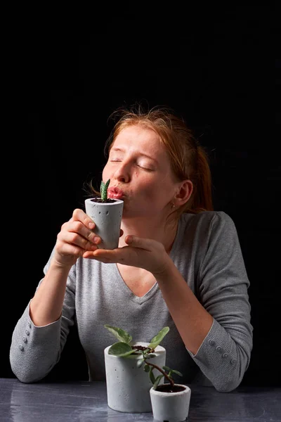 Planta suculenta em vaso de concreto artesanal em decoração de quarto para amante de cacto — Fotografia de Stock