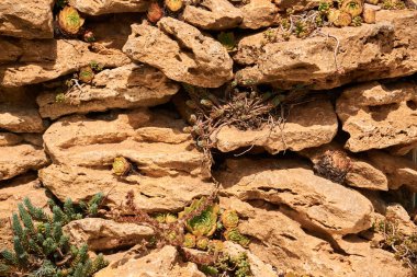 kumtaşı tuğla duvar doku arka plan delik briks arasında