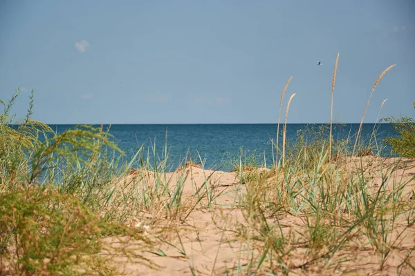 Wild mooie zandstrand in sunly dag — Stockfoto