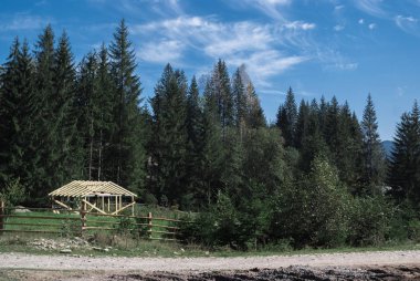 Cotage ve Karpat Dağları, Ukrayna gökyüzü arka planda güzel doğal ormanlar