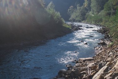 Yaz günü Dağ nehri akarsu vadisi manzara manzara