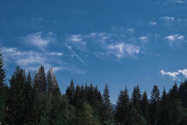 Karpat Dağları, Ukrayna gökyüzü arka plan üzerinde güzel doğal ormanlar