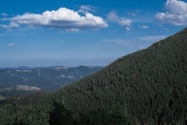 Bulutlar ve iğne yapraklı ormanlarla güneşli bir günde dağlar. Manzara