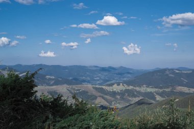 Bulutlar ve iğne yapraklı ormanlarla güneşli bir günde dağlar. Manzara