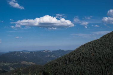 Bulutlar ve iğne yapraklı ormanlarla güneşli bir günde dağlar. Manzara