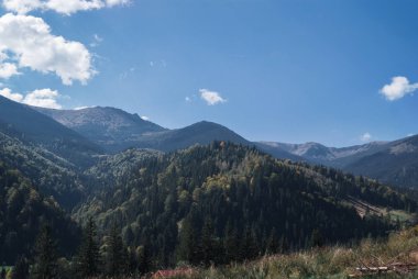 Bulutlar ve iğne yapraklı ormanlarla güneşli bir günde dağlar. Manzara