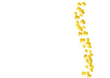 Aziz Patrick günü arka plan