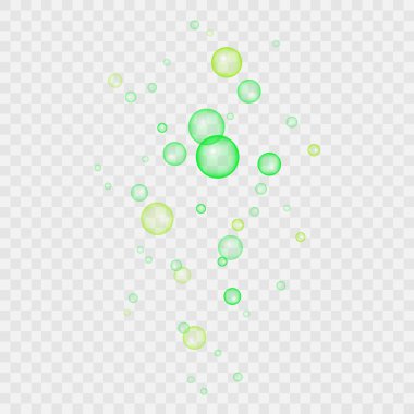 Açık şeffaf bir arka plan üzerinde izole saf temiz su damlaları kümesi. Gerçekçi vektör çizim. Duvar kağıdı, tekstil, davetiye, web sayfası arka planı için kullanılabilir.