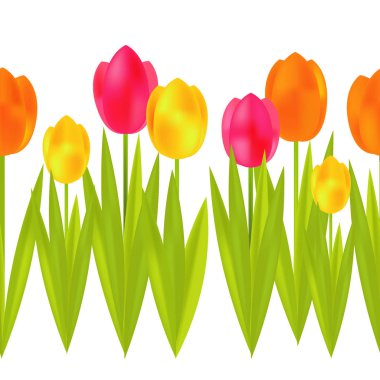 Beyaz zemin üzerine yeşil yaprakları ile renkli lale suluboya. Seamless modeli. Kadınlar günü. Bahar Bush. Sevgililer. Duvar kağıdı, tekstil, ambalaj, web sayfası arka planı davetiye, için kullanılabilir.